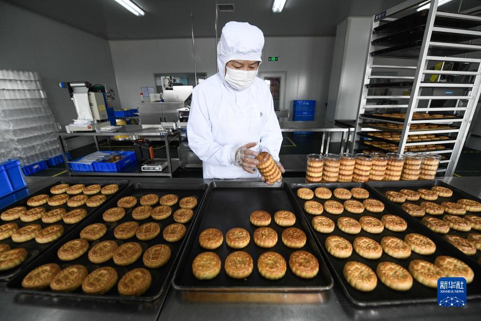 百家楽路单分析方法